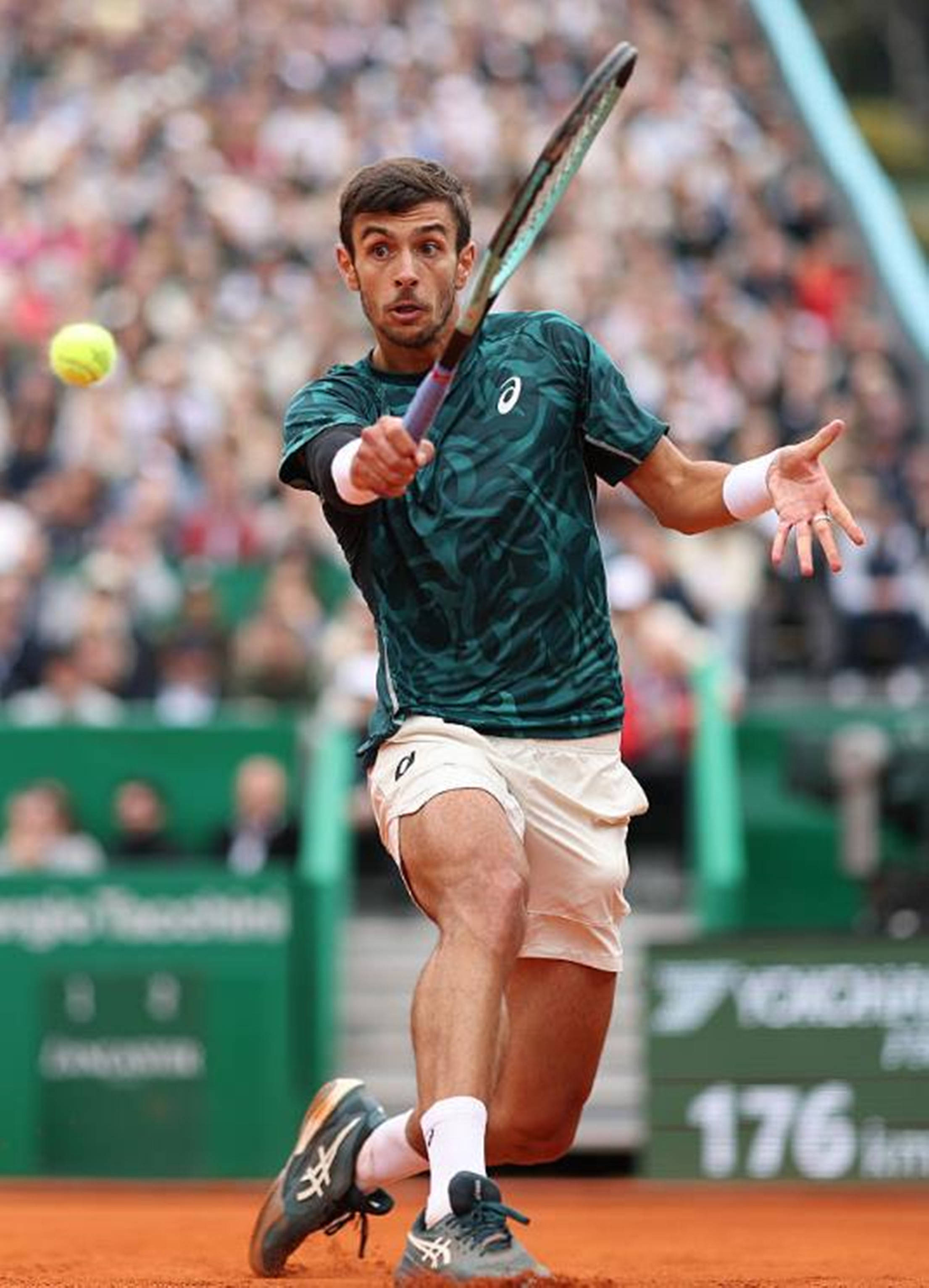 过去6次的 过去6次的